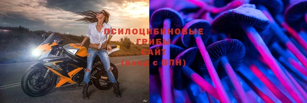 бошки Армянск